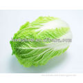 F1 Hybrid Chinese Cabbage Seeds for sowing